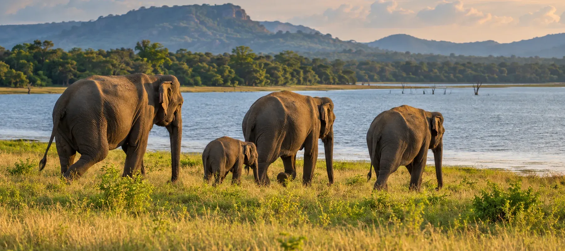 Sri Lanka Short Classic Itinerary 9 Days